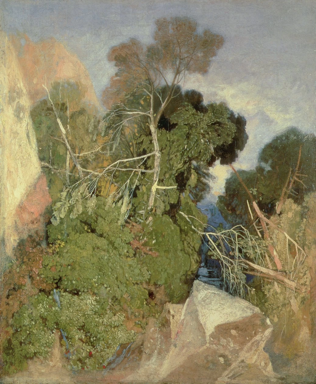Betulle argentate - Museo e Galleria d'arte del Castello di Norwich